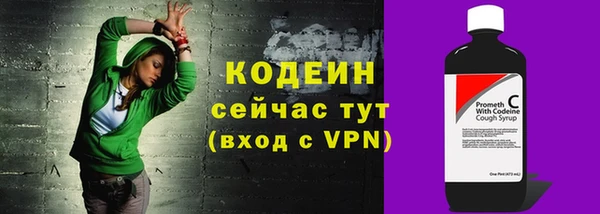 молекула духа Бородино