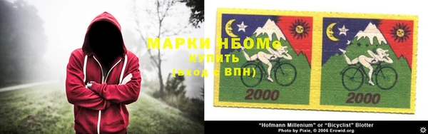 молекула духа Бородино