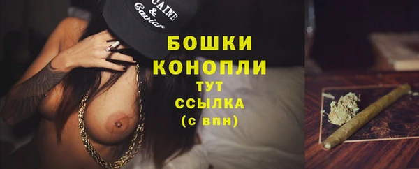 дмт Бронницы