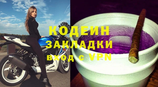 молекула духа Бородино