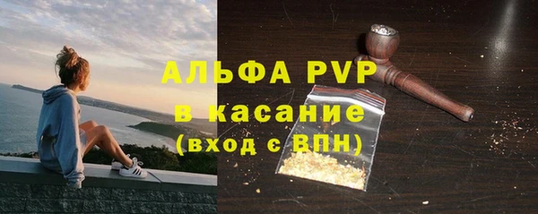 молекула духа Бородино