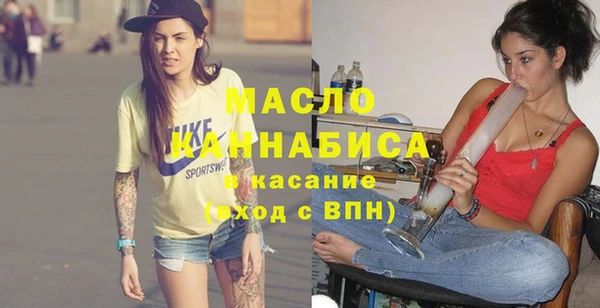 индика Сосновка