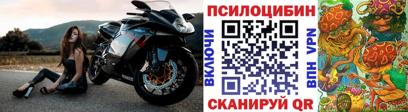 наркота  Дмитриев  Галлюциногенные грибы MAGIC MUSHROOMS 
