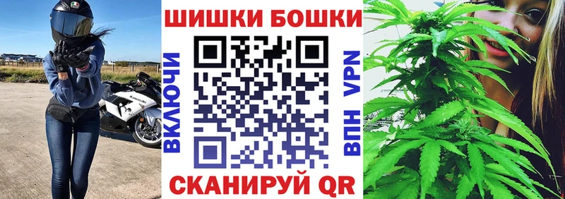 OMG как войти  Дмитриев  Бошки марихуана семена 